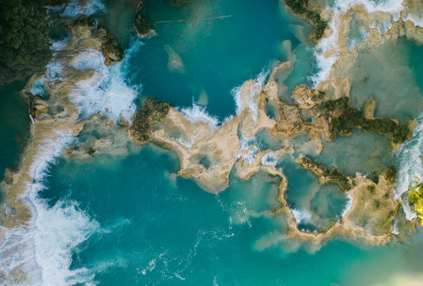 Amazon seller growth services