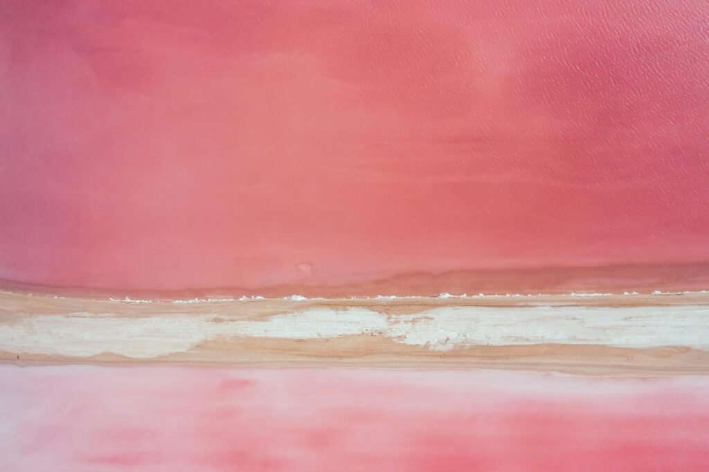 Amazon seller growth services