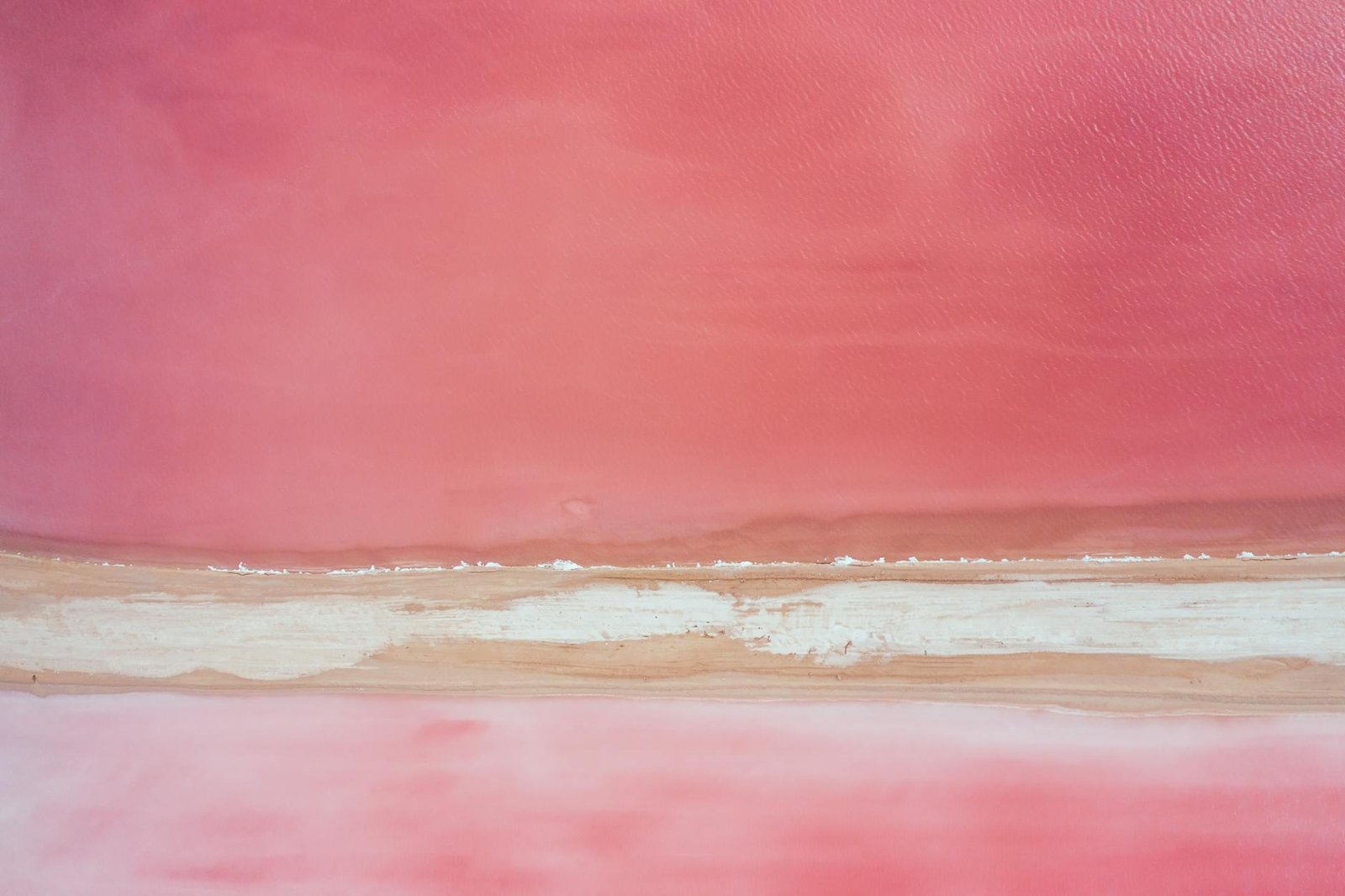 Amazon seller growth services