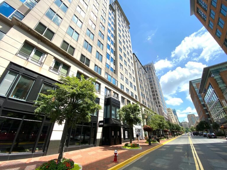 Google ranking services