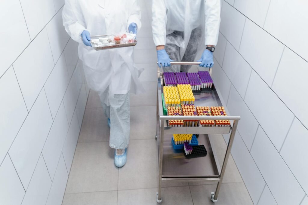 keyword research services