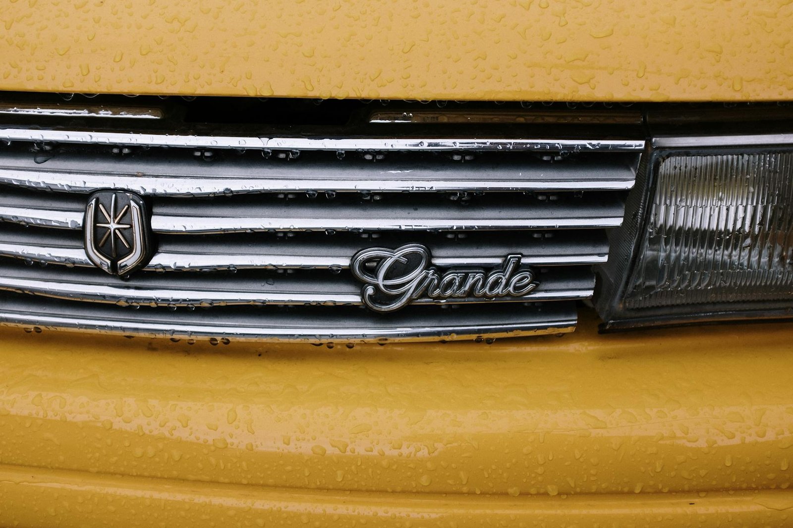 logo design services